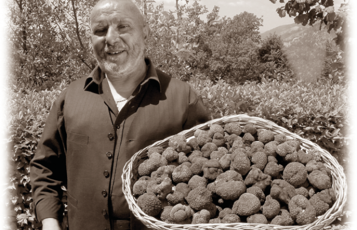 truffes d'Italie